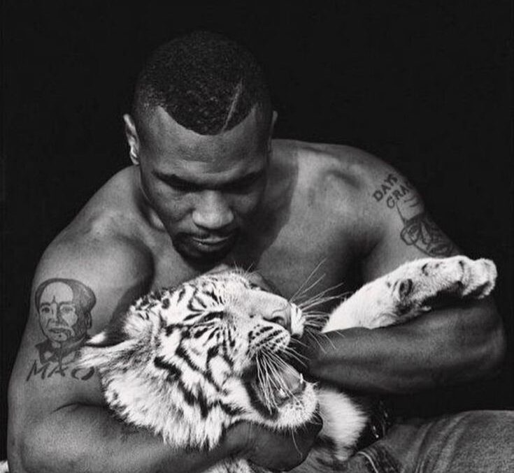 Mike Tyson: Gökyüzünün Kraliçesi ile Dövüşen Aslan